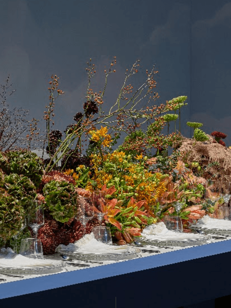 Shop Top Fashion Beauty and Home Products